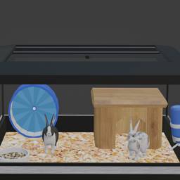 Pet Desk Cage - Bunny Rabbit