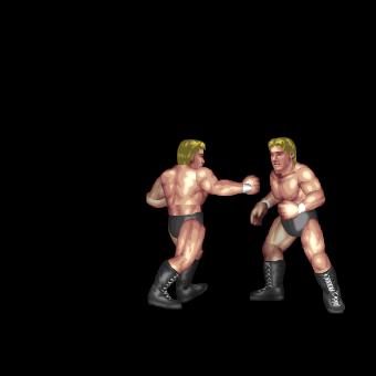 Spinning Backfist