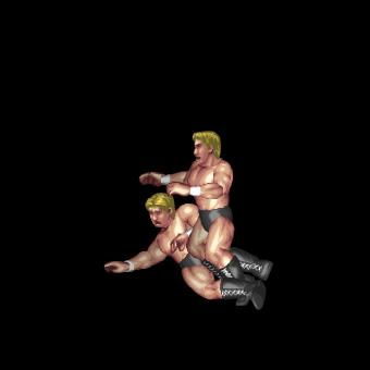 Ankle Lock