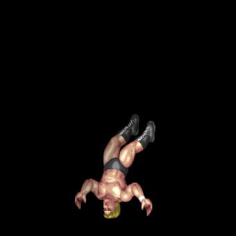 Top Rope Moonsault Press