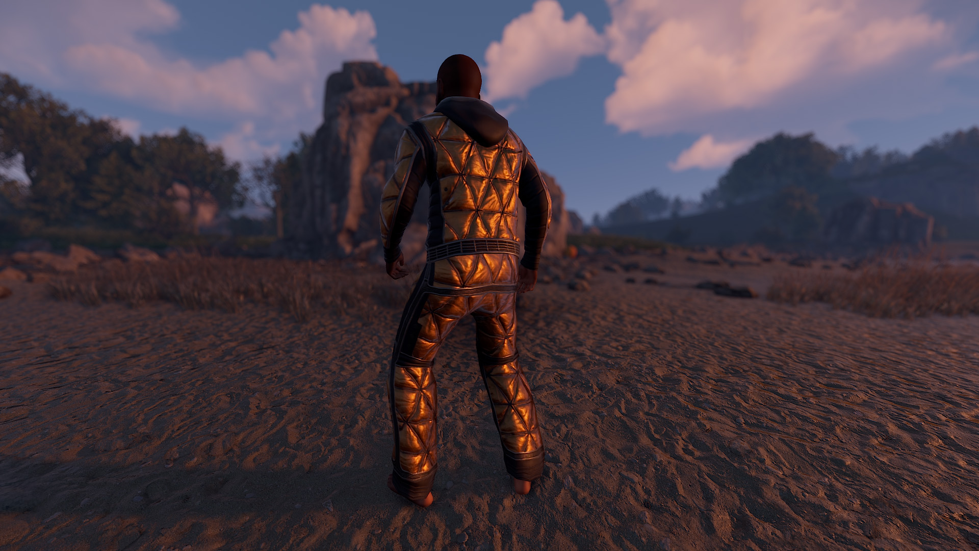 Space Foil Hoodie
