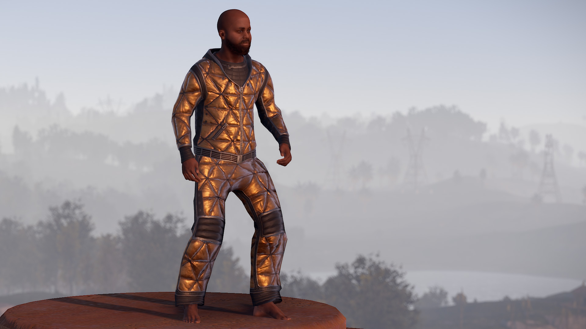 Space Foil Hoodie