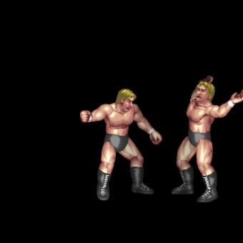 Lariat Attack