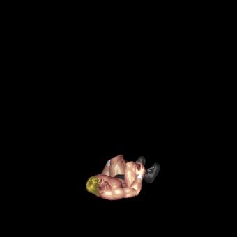 Imploding Senton