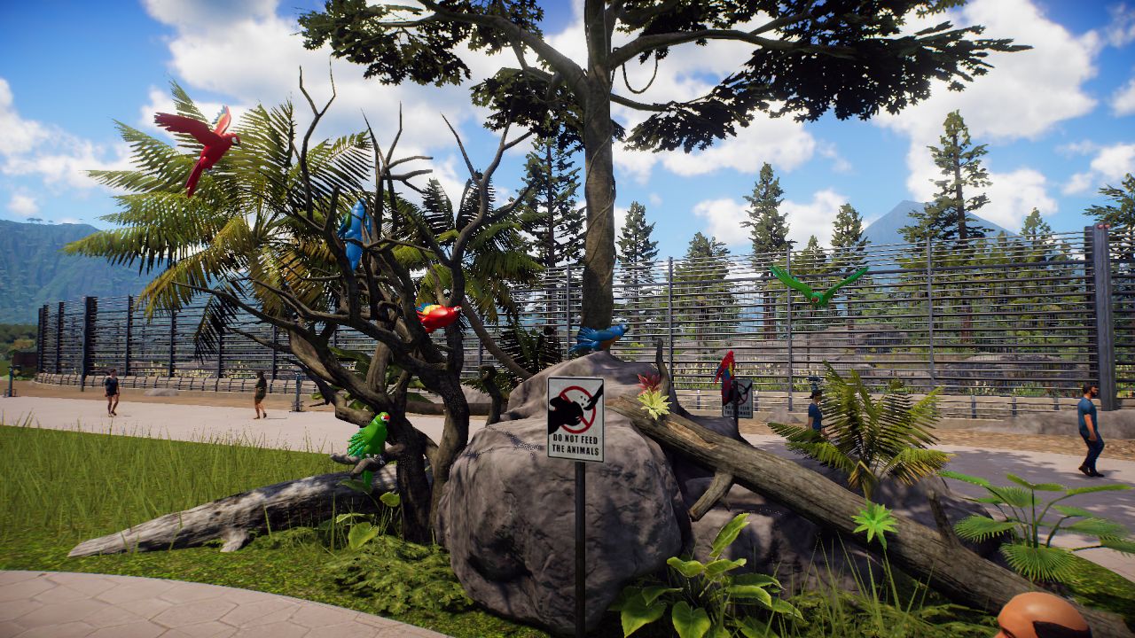 Tropical Tree group with Macaws