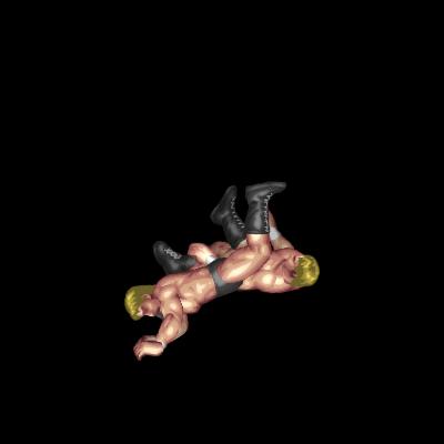 Single-Leg Dropkick (Counter)