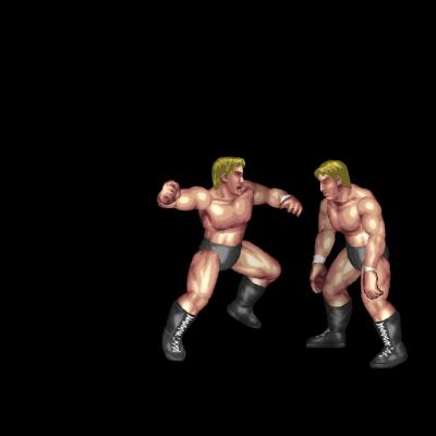 Wild Punch (combo clincher)