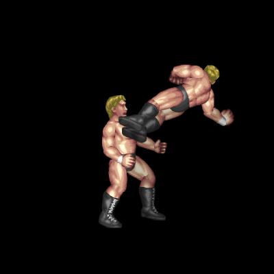 Rebound Dropkick