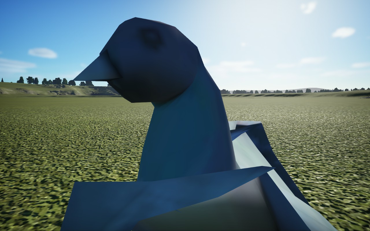 Pigeon à l'aise