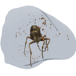 Glass Stone with Mosquito Inside