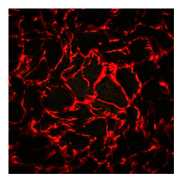 Ceiling Tile Black Red Accent 25x25