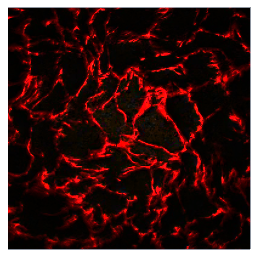 Wall Tile Black Red Accent 25x25