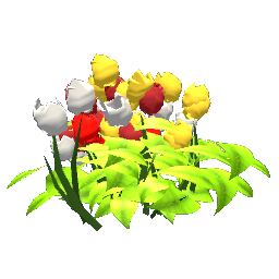 Tulips Variaty
