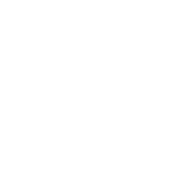 World Map Neon White