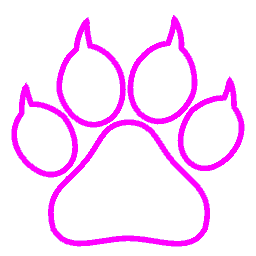 Paw Neon Pink