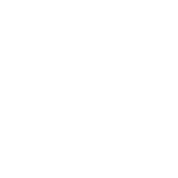 Letter Z Neon White