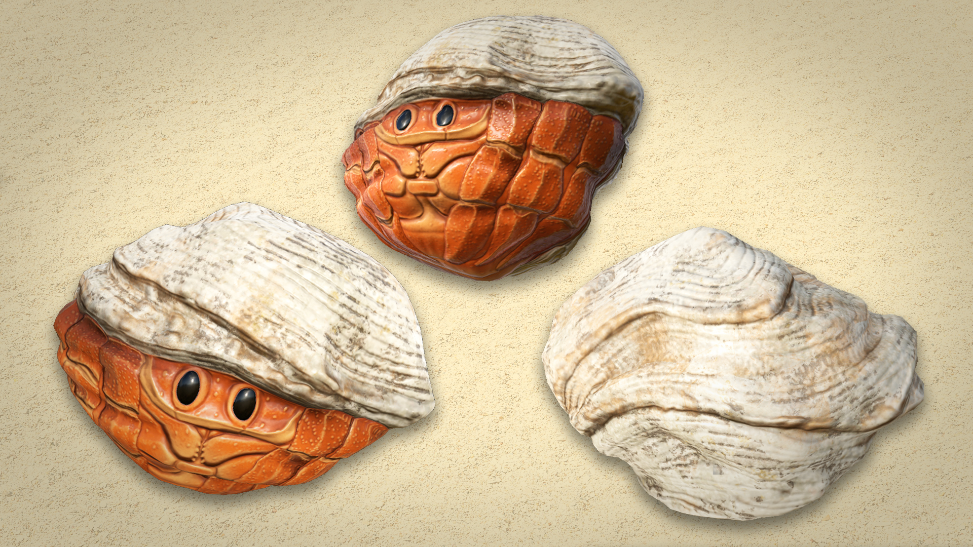 Hermit Crab Rock