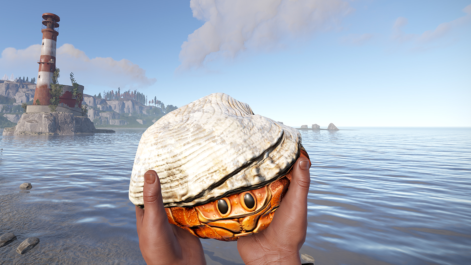 Hermit Crab Rock