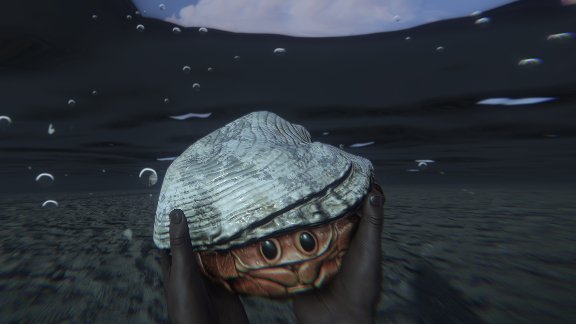 Hermit Crab Rock