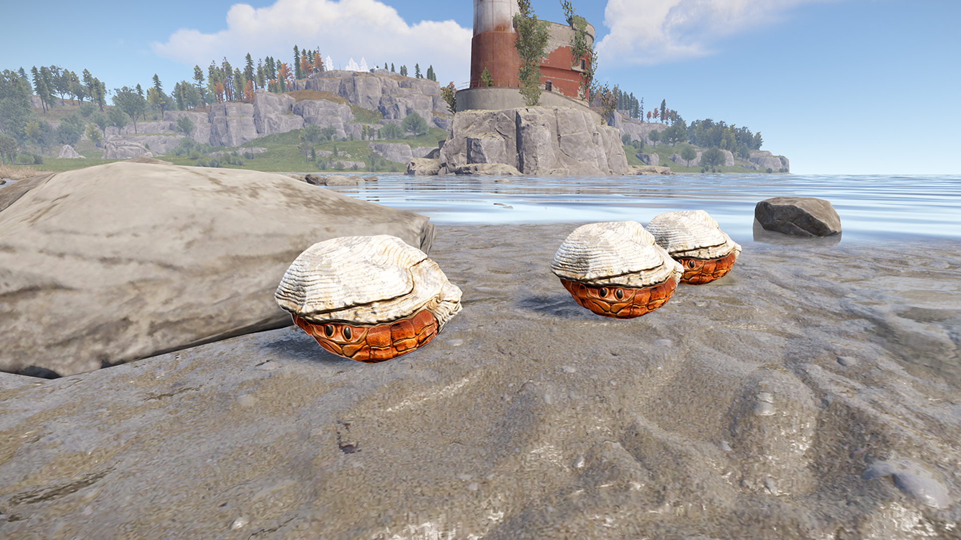 Hermit Crab Rock