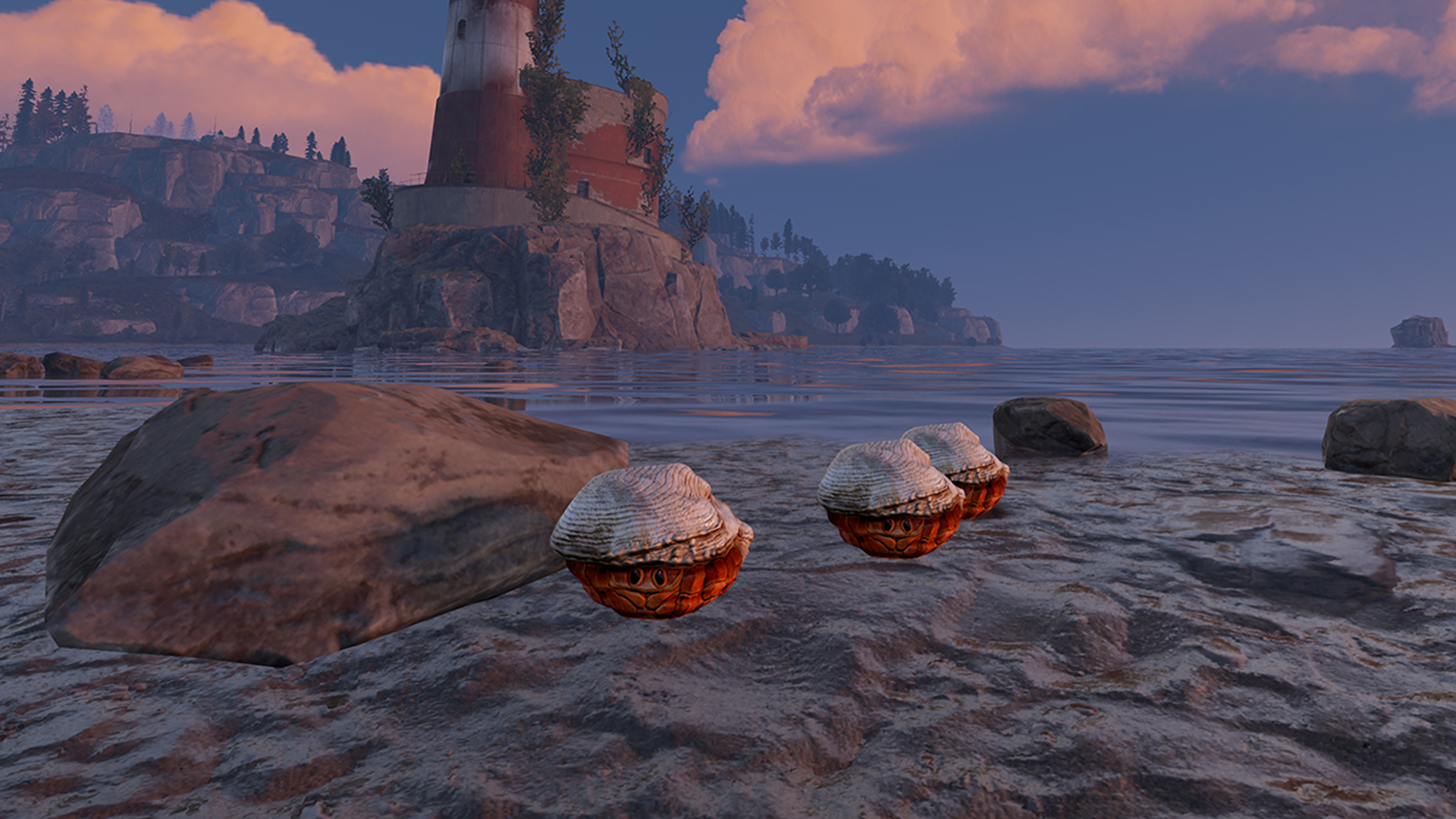 Hermit Crab Rock