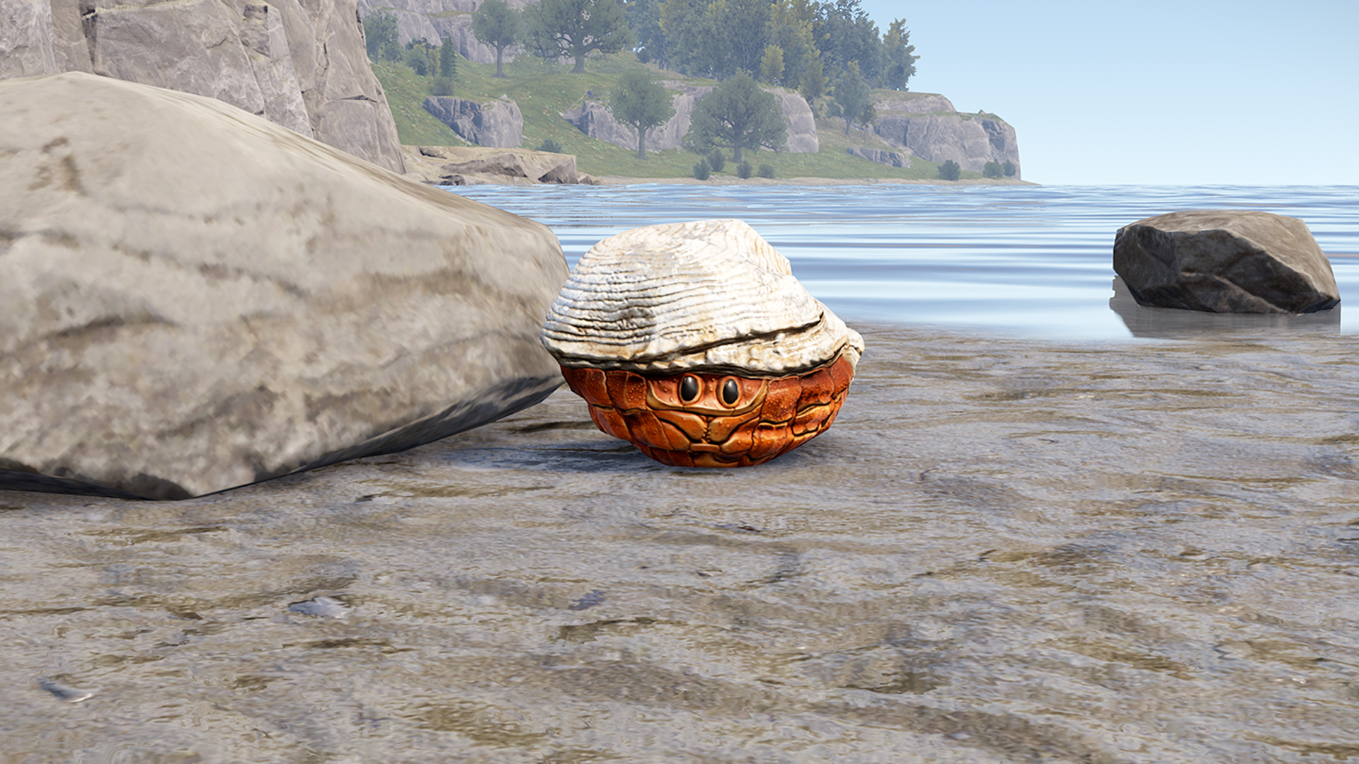 Hermit Crab Rock