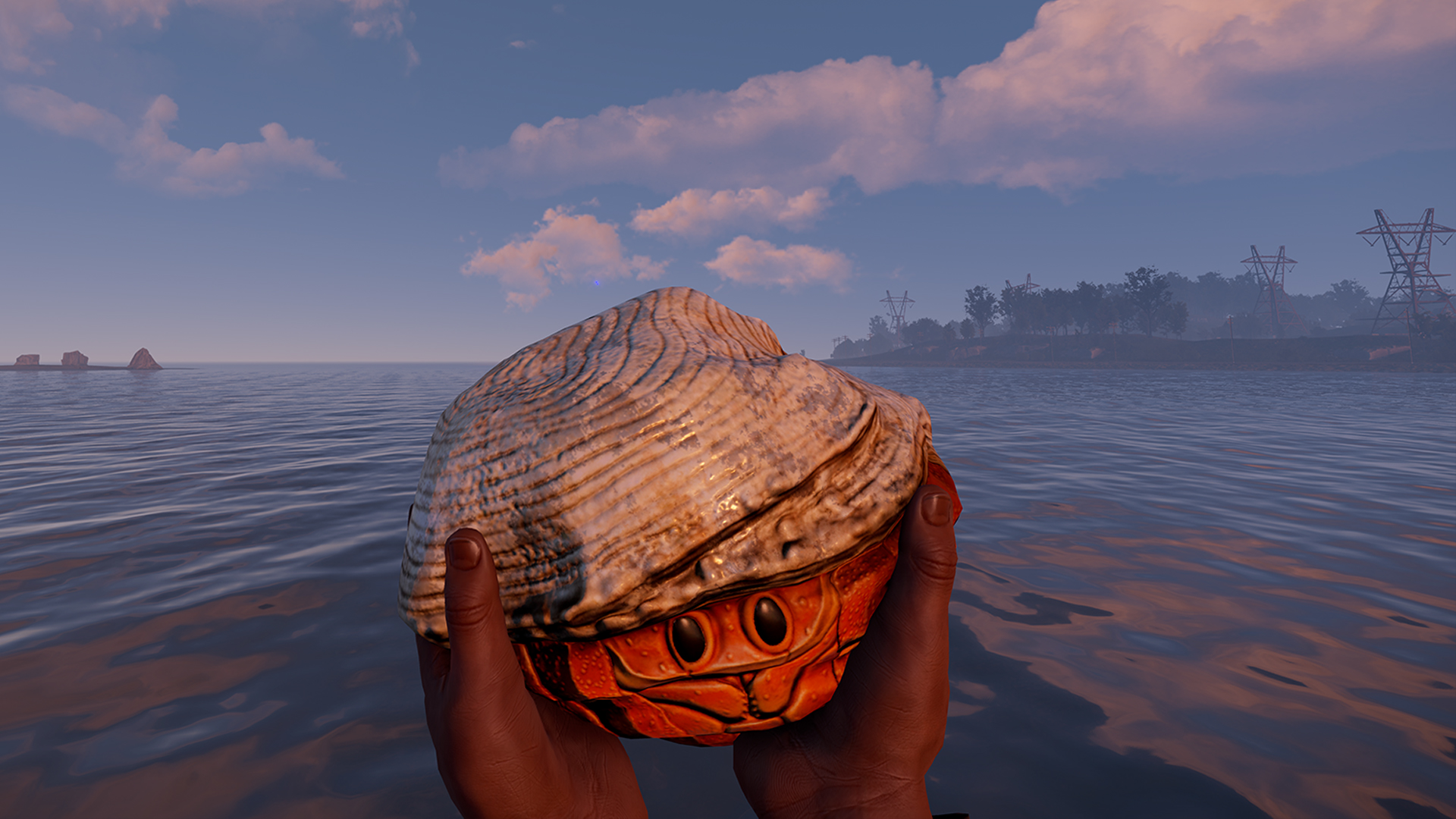 Hermit Crab Rock