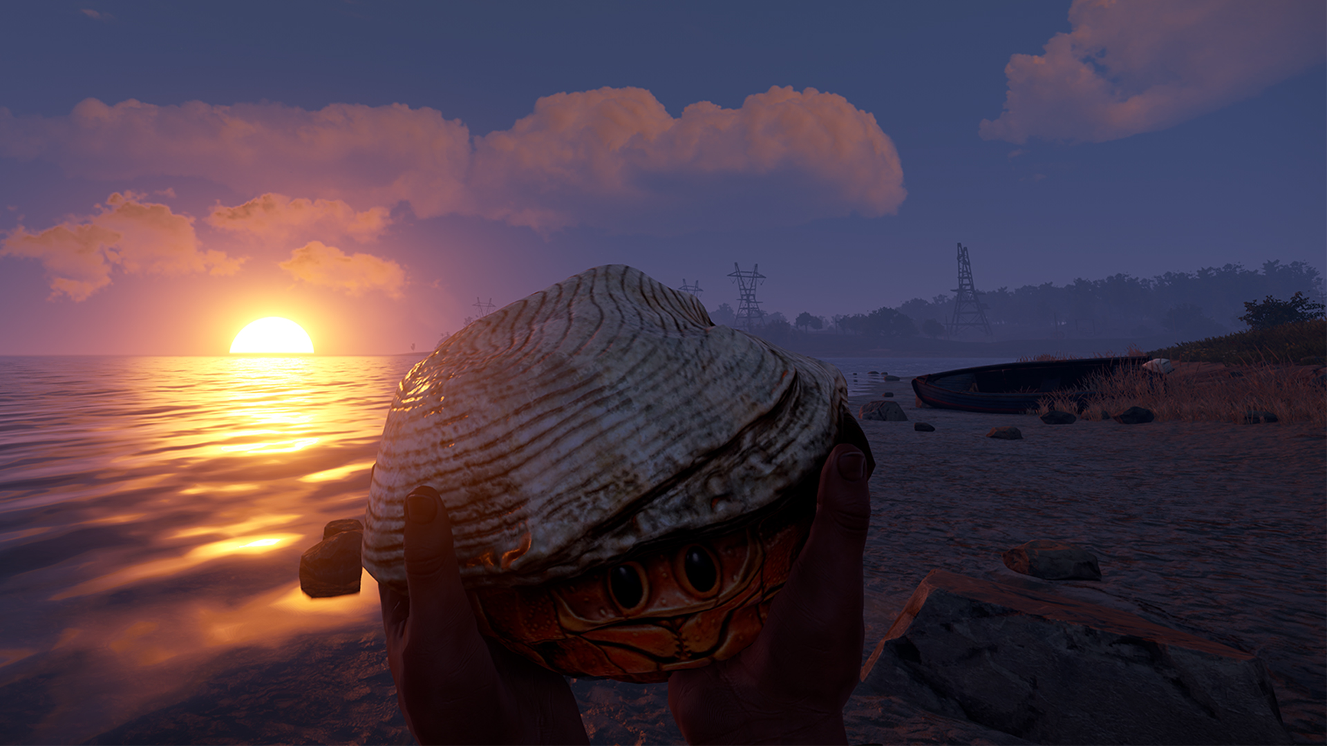 Hermit Crab Rock