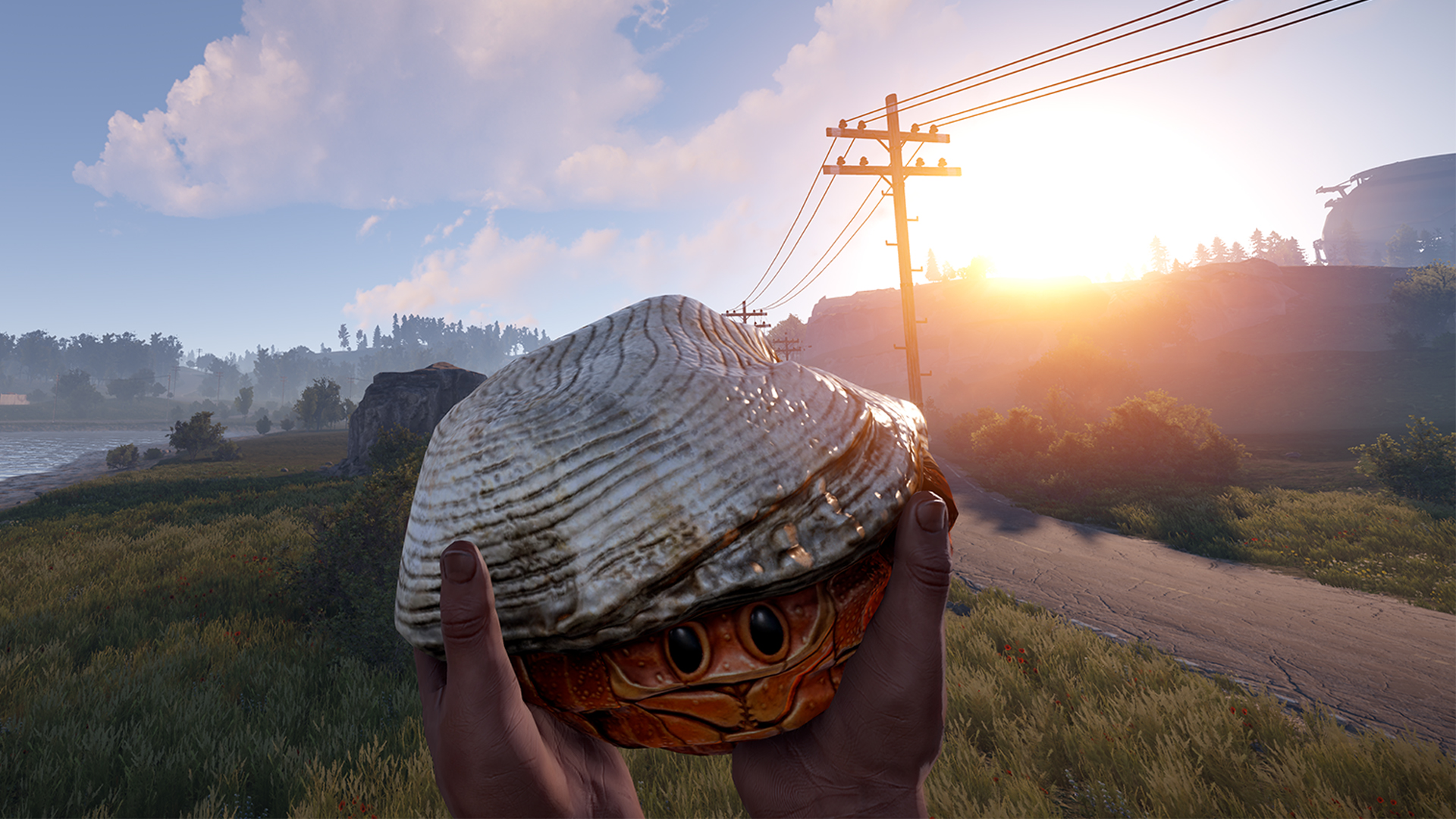 Hermit Crab Rock