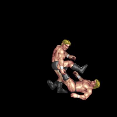 倒れ込みレッグブリーカー／Falling Leg Breaker