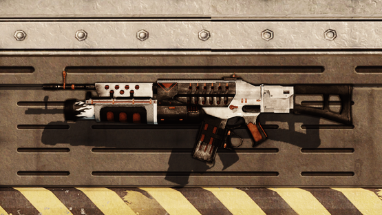 Sentinel Assault Rifle