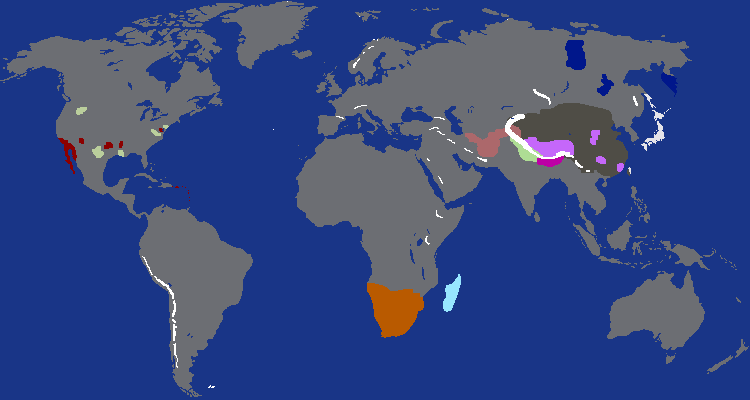 Wolfenstien World Map - 1960s
