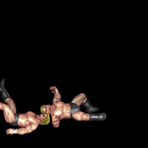 反り投げ式ブレーンバスター / Strong Style Suplex