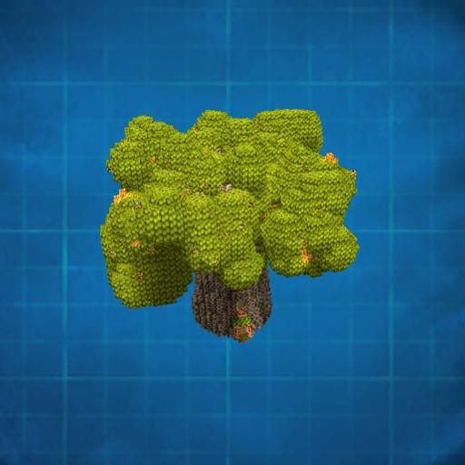 Full Monty Pine