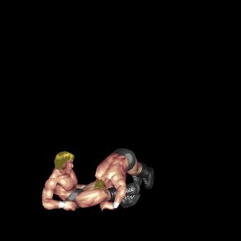 Tiger Escape