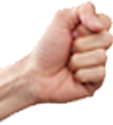 Fist