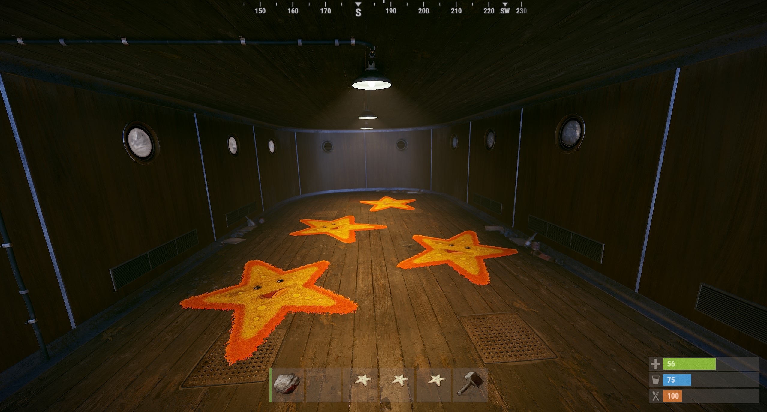 Starfish Rug