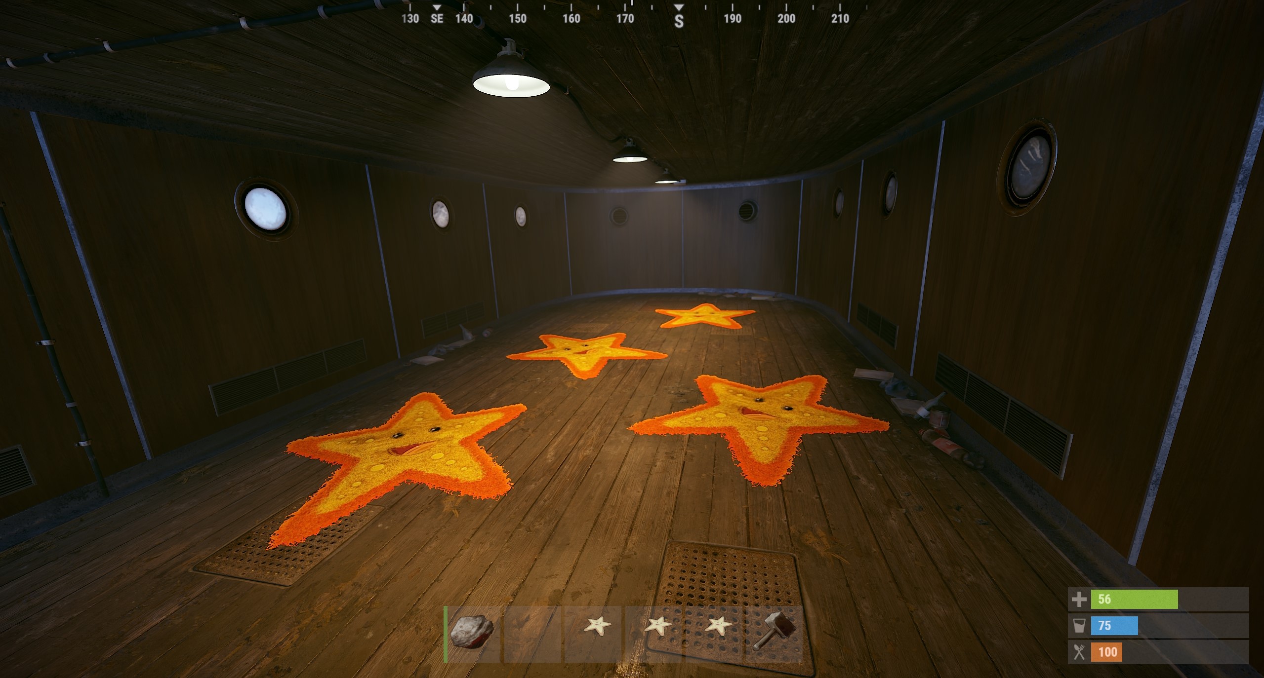 Starfish Rug