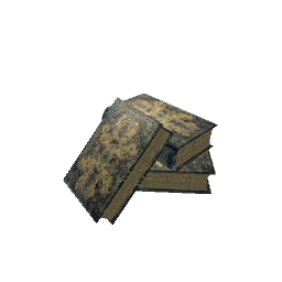 Pile of Old Books- V1
