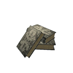 Pile of Old Books- V2