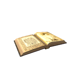 Spell Book (Open)- V1