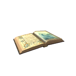 Spell Book (Open)- V5