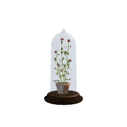 Flower in Glass Dome- V1