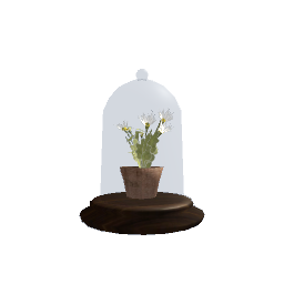 Flower in Glass Dome- V2
