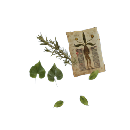 Herbology Clutter- V2