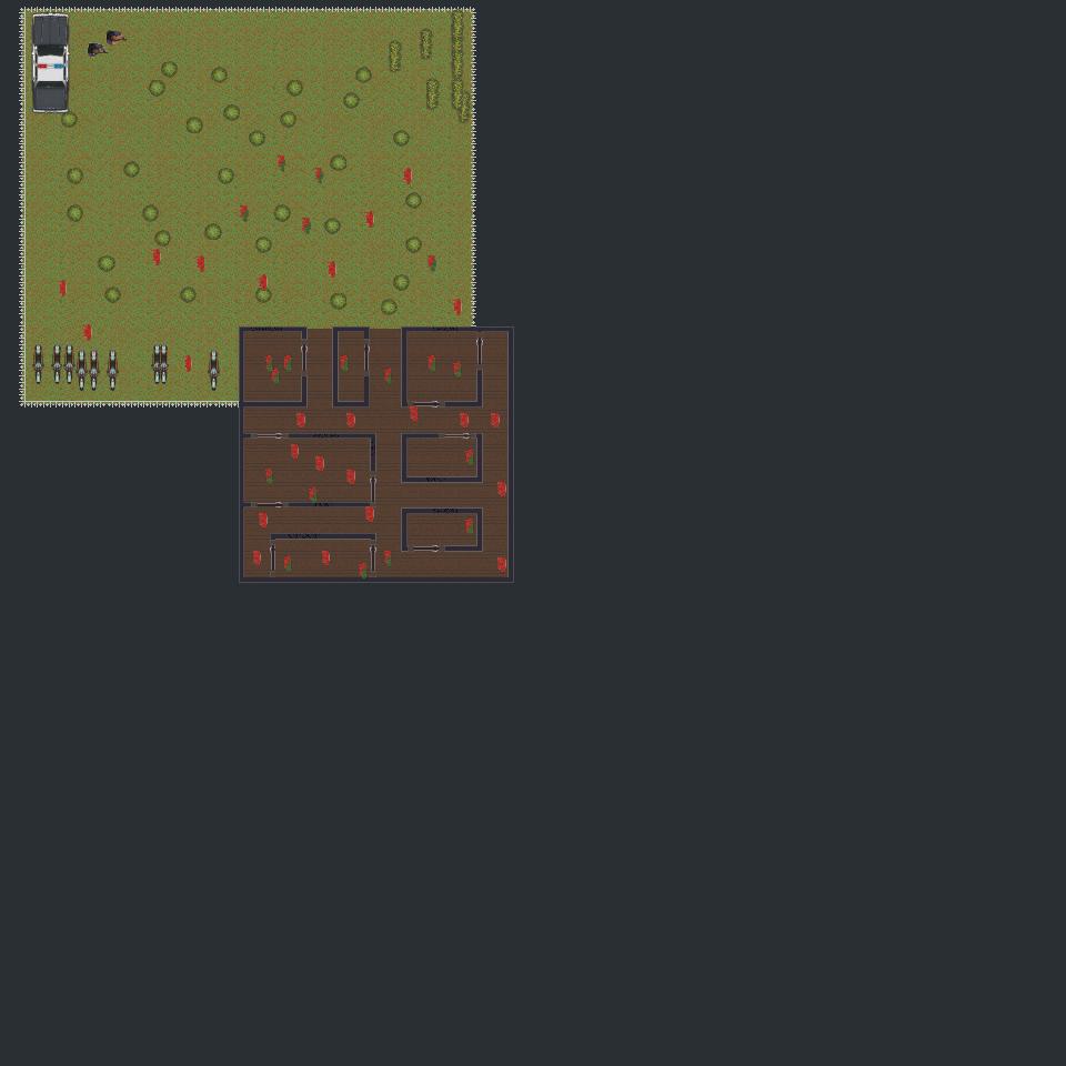 forest