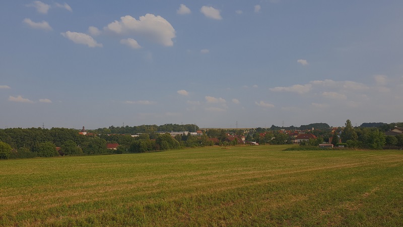 In the field