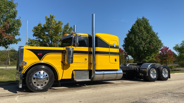 SCS 389 - Yellow CAT