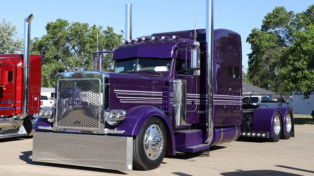 SCS 389 - Purple Storm