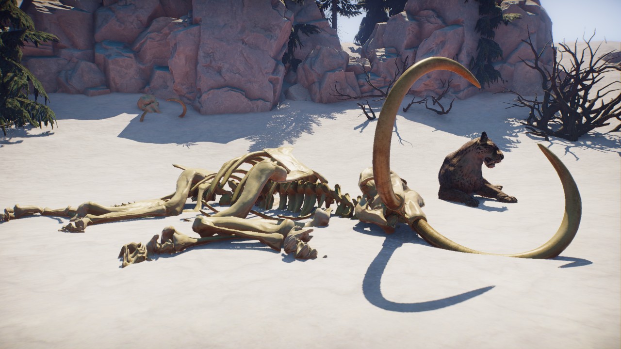 Mammoth skeleton